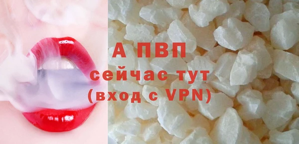 СК Богородицк