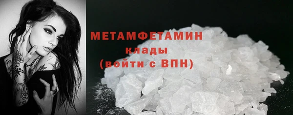 прущие грибы Богородск
