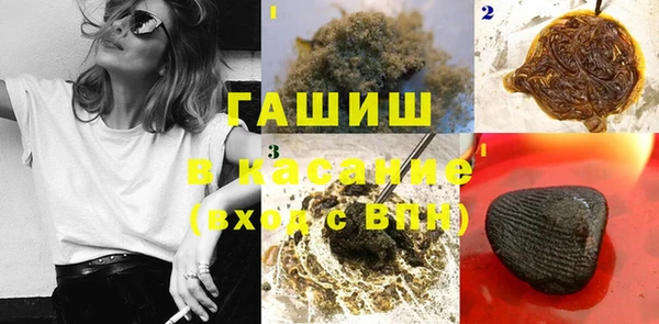 прущие грибы Богородск