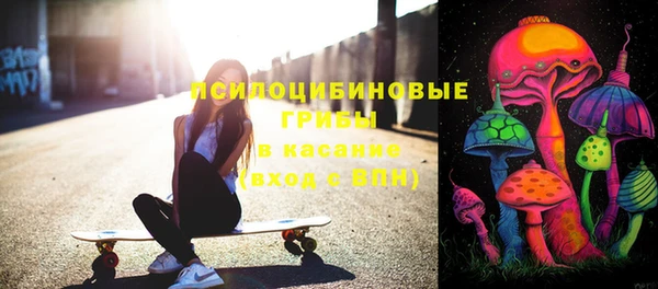 СК Богородицк