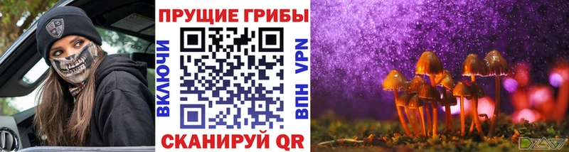Купить  Нестеров  Псилоцибиновые грибы MAGIC MUSHROOMS 